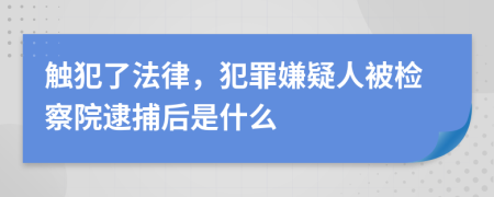 触犯了法律，犯罪嫌疑人被检察院逮捕后是什么