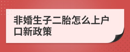 非婚生子二胎怎么上户口新政策