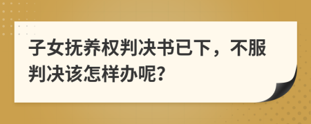 子女抚养权判决书已下，不服判决该怎样办呢？