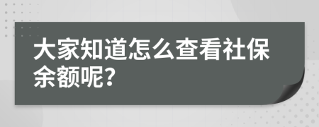 大家知道怎么查看社保余额呢？