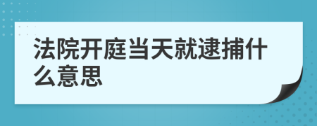 法院开庭当天就逮捕什么意思