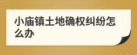 小庙镇土地确权纠纷怎么办