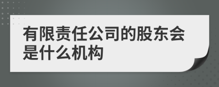 有限责任公司的股东会是什么机构