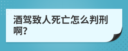 酒驾致人死亡怎么判刑啊？