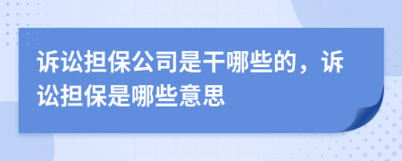 诉讼担保公司是干哪些的，诉讼担保是哪些意思