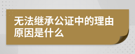 无法继承公证中的理由原因是什么