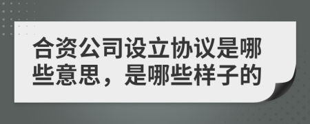 合资公司设立协议是哪些意思，是哪些样子的