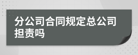 分公司合同规定总公司担责吗