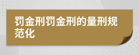 罚金刑罚金刑的量刑规范化