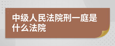 中级人民法院刑一庭是什么法院