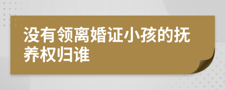 没有领离婚证小孩的抚养权归谁