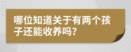 哪位知道关于有两个孩子还能收养吗？