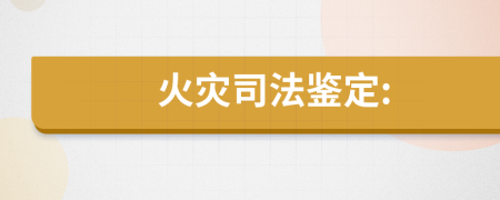 火灾司法鉴定: