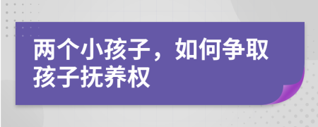 两个小孩子，如何争取孩子抚养权