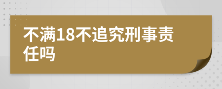 不满18不追究刑事责任吗