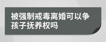 被强制戒毒离婚可以争孩子抚养权吗