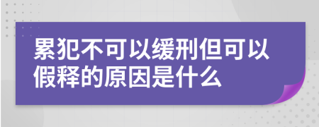 累犯不可以缓刑但可以假释的原因是什么