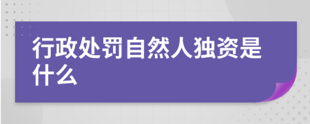 行政处罚自然人独资是什么