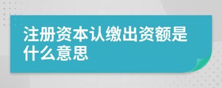 注册资本认缴出资额是什么意思