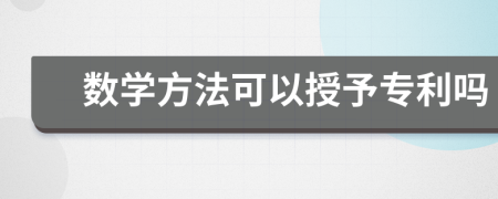 数学方法可以授予专利吗