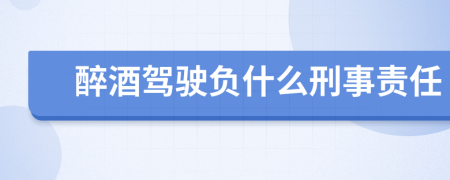 醉酒驾驶负什么刑事责任