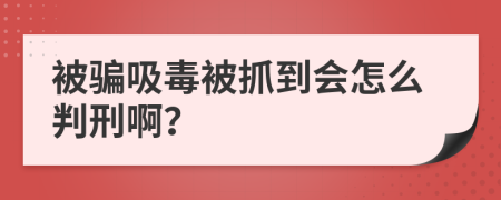 被骗吸毒被抓到会怎么判刑啊？