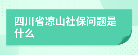 四川省凉山社保问题是什么