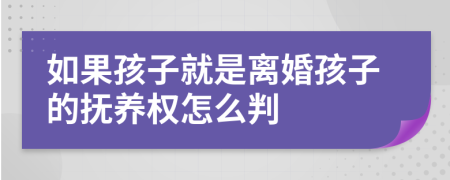 如果孩子就是离婚孩子的抚养权怎么判