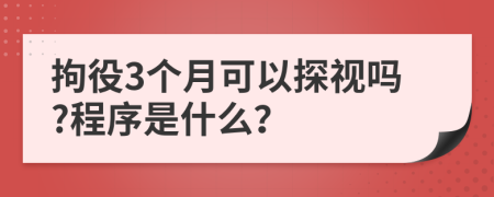 拘役3个月可以探视吗?程序是什么？