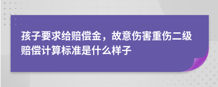 孩子要求给赔偿金，故意伤害重伤二级赔偿计算标准是什么样子