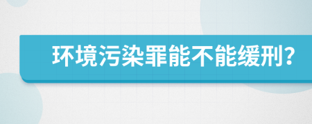 环境污染罪能不能缓刑？