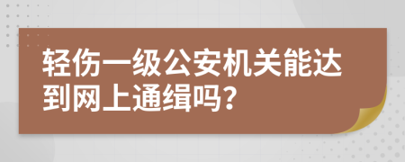 轻伤一级公安机关能达到网上通缉吗？