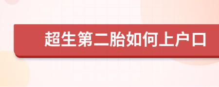 超生第二胎如何上户口