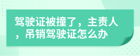 驾驶证被撞了，主责人，吊销驾驶证怎么办