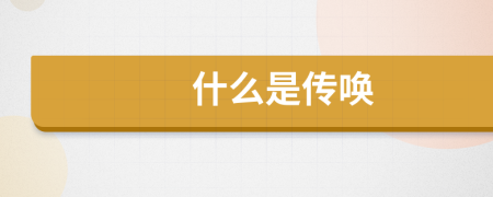 什么是传唤