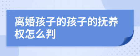 离婚孩子的孩子的抚养权怎么判