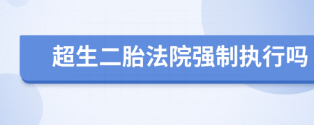 超生二胎法院强制执行吗