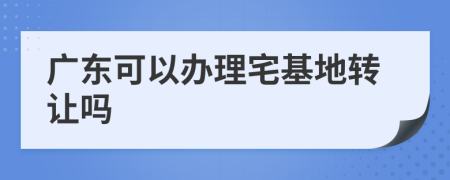 广东可以办理宅基地转让吗