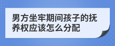 男方坐牢期间孩子的抚养权应该怎么分配