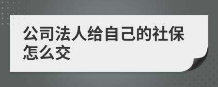 公司法人给自己的社保怎么交