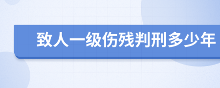 致人一级伤残判刑多少年