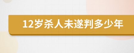 12岁杀人未遂判多少年