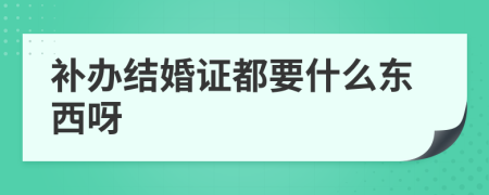 补办结婚证都要什么东西呀