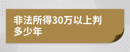 非法所得30万以上判多少年