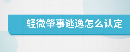 轻微肇事逃逸怎么认定