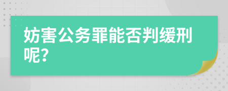 妨害公务罪能否判缓刑呢？