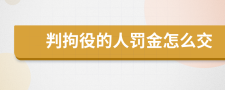 判拘役的人罚金怎么交