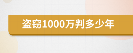 盗窃1000万判多少年