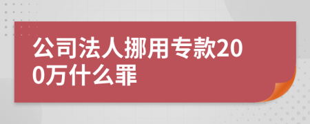 公司法人挪用专款200万什么罪