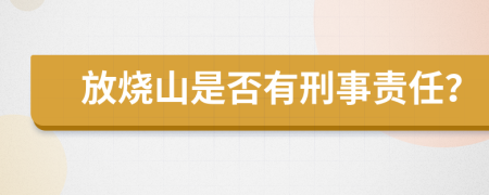 放烧山是否有刑事责任？